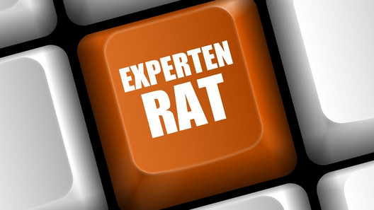 Expertenrat