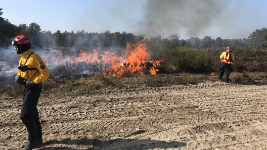 Vegetationsbrandbekämpfung