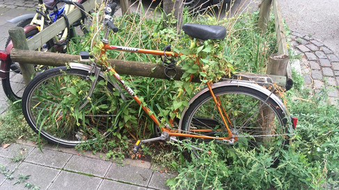 Fahrrad in Mainz