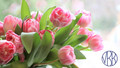 Tulpen zum Weltfrauentag mit VBB-Logo