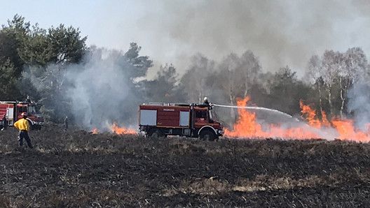 Vegetationsbrandbekämpfung