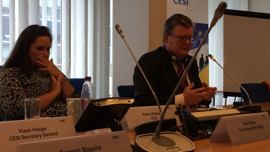 Sitzung des Berufsrates Verteidigung der CESI
