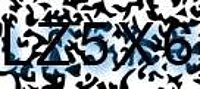 grafischer Sicherheitscode
