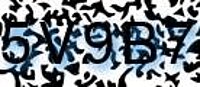 grafischer Sicherheitscode