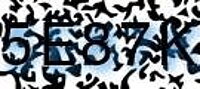 grafischer Sicherheitscode