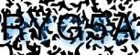 grafischer Sicherheitscode