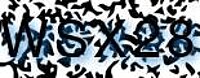 grafischer Sicherheitscode