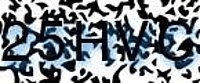 grafischer Sicherheitscode