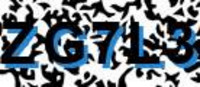 grafischer Sicherheitscode