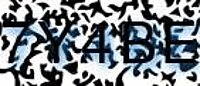 grafischer Sicherheitscode