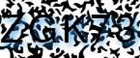 grafischer Sicherheitscode